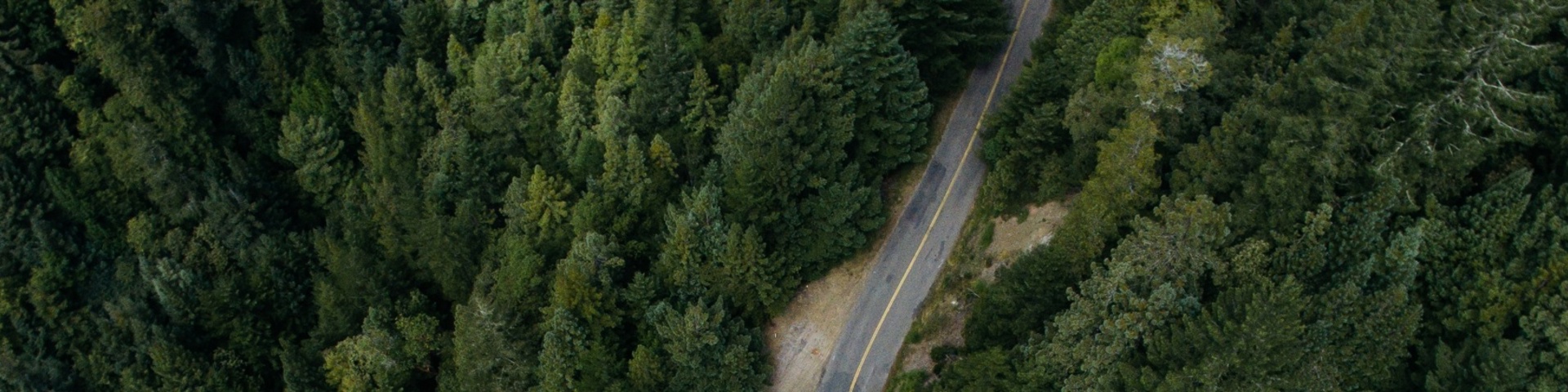 Mudanças climáticas – assumir a responsabilidade a nível empresarial