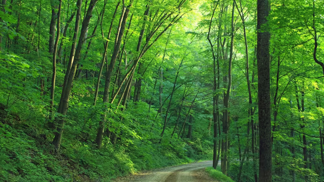 Mudanças climáticas – assumir a responsabilidade a nível empresarial